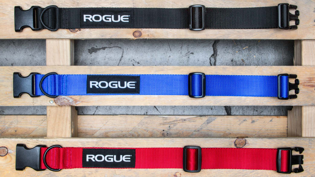Nylon webbing clearance dog collars
